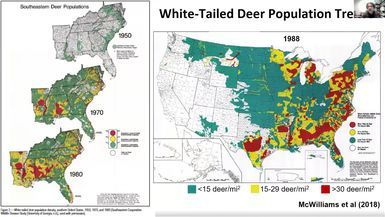 NJ Forests Forum - Priorities for Forest Restoration in Northern NJ Deer & Invasive Plants