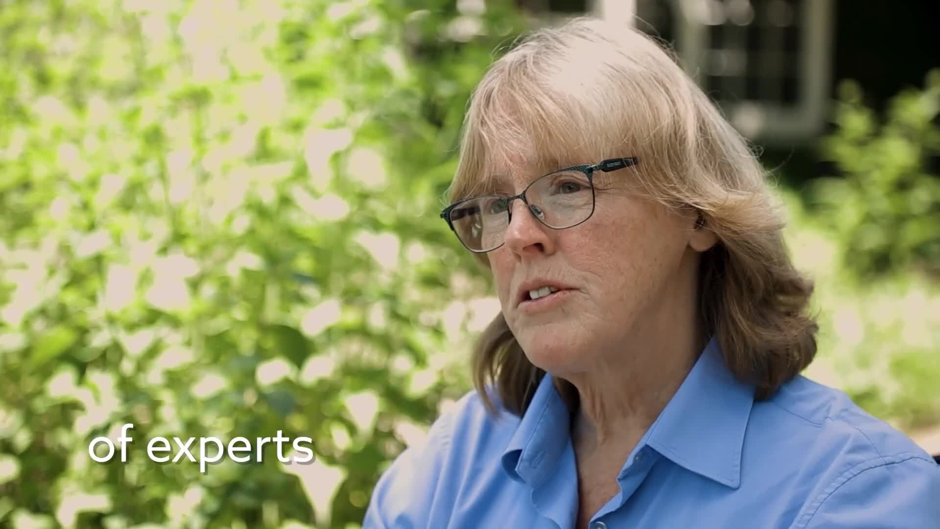 What's next for New Jersey's forests?