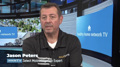 The Paul Davis Process: Mold Mitigation